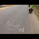 Ergebnis einer Begegnung Moped gegen Kuh